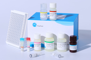 Monkey ELISA Kits